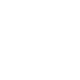 ico-in2