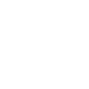 ico-in6
