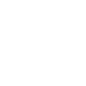 ico-in7